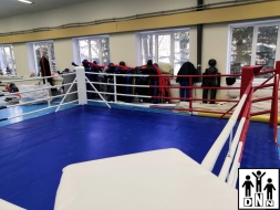 Ринг боксёрский на упорах 4х4м Эконом (боевая зона 3х3м, монтажная площадка 4х4м) DNN, фото 2