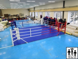 Ринг боксёрский на упорах 5х5м (боевая зона 4х4м, монтажная площадка 5х5м) DNN, фото 2