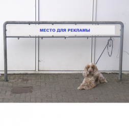 Рекламная парковка для собак ПС-05 